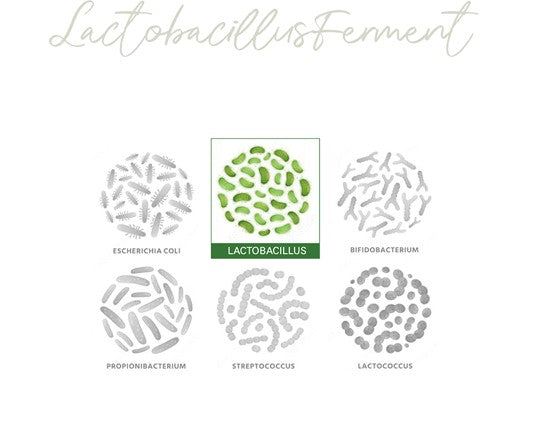 Cell by Cell Peptide Ampoule 200ml