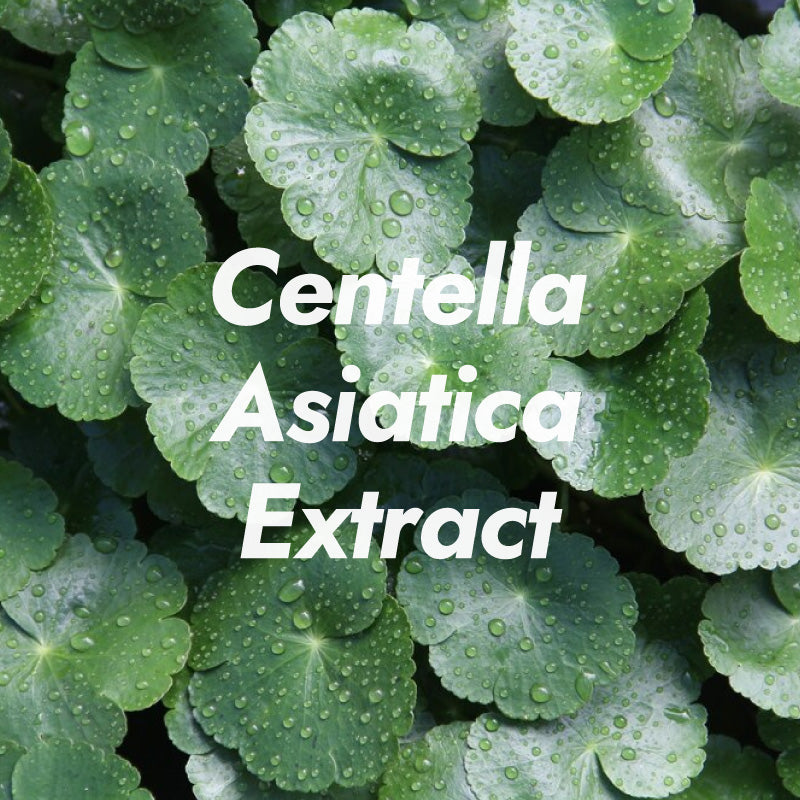 Cell by Cell Purifying C-Balance Cleanser 160ml